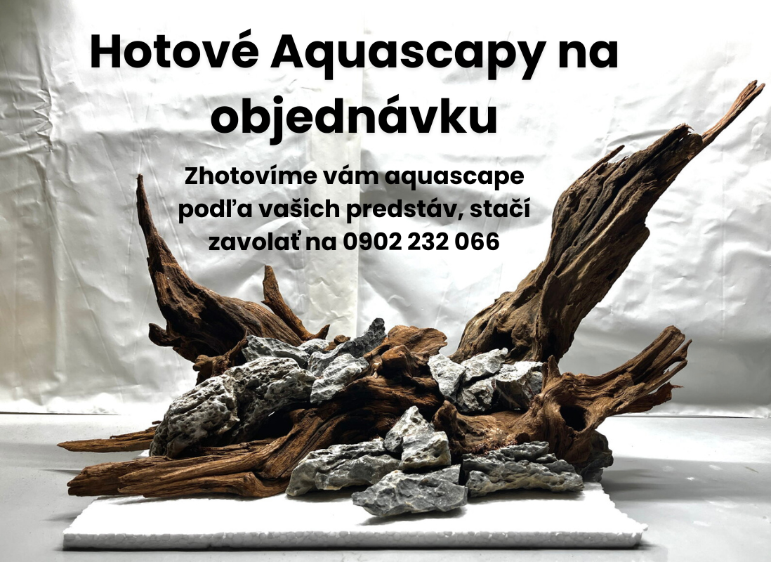 Hotové aquascapy