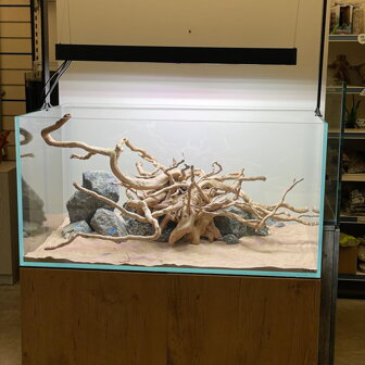 Koreň Red Moor wood aquascape