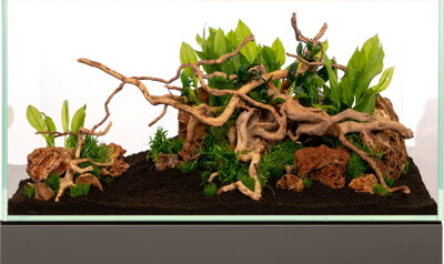 Koreň Red Moor wood aquascape