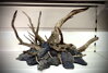 Aquascape 6