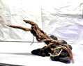 Aquascape 2