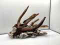 Aquascape 4