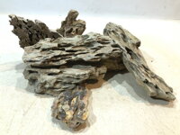 Dragon stone 