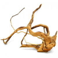Koreň Red Moor wood