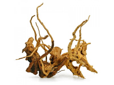 Koreň Red Moor wood L 