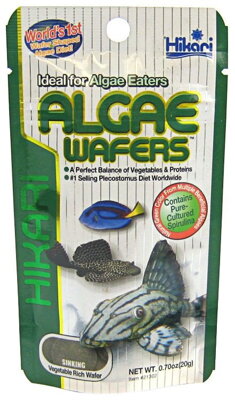 Hikari Algae wafers 250g
