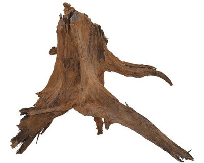Koreň Amazonas Root XL 40-60 cm