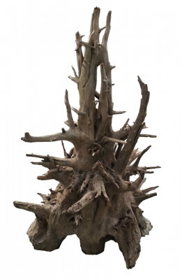  Kořen Jungle Root XL, 60-80 cm