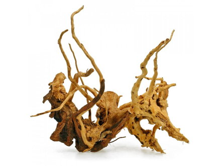  Red Moor wood L 