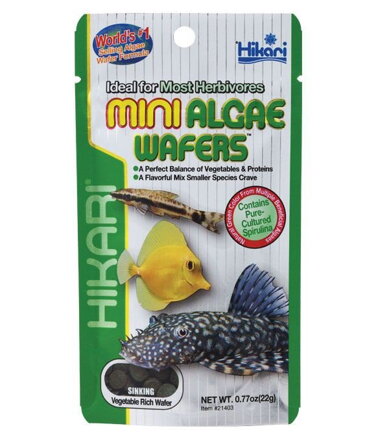 Hikari Mini Algae Wafers