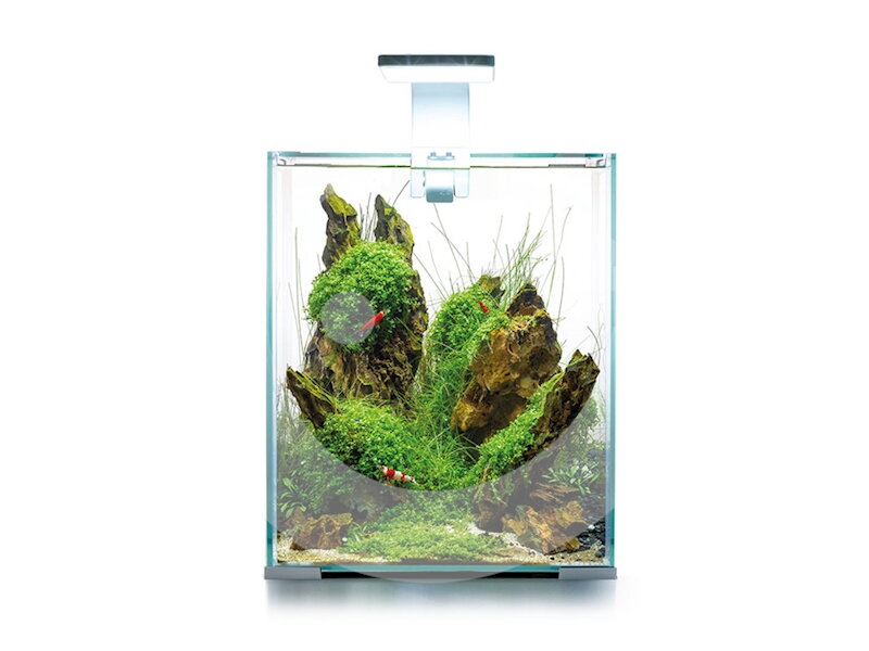 AQUAEL Akvarijní set SHRIMP SET D&N 20, bílý, 19l AQUAEL Akvarijní set SHRIMP SET D&N 20, bílý, 19l
