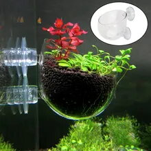 Glass polka Plant pot