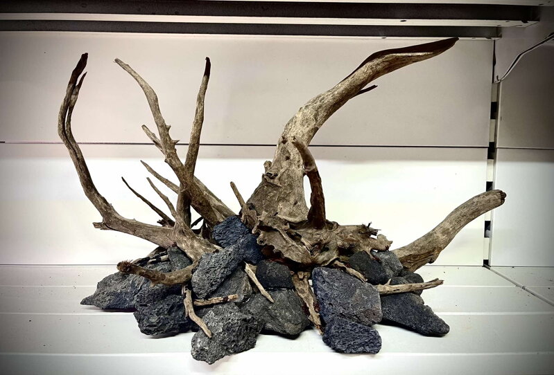 Aquascape 6