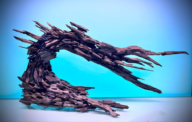 Aquascape 7 Aquascape 7